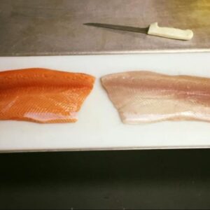King Salmon