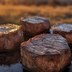 Elk Medallion Steak