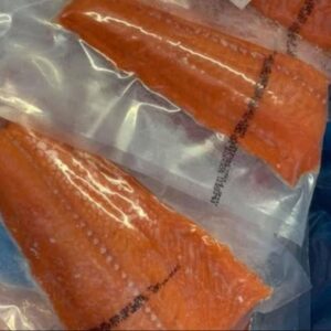 Sockeye Salmon