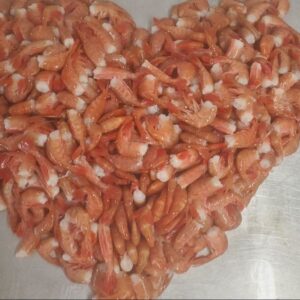 Spot Prawns Shrimp