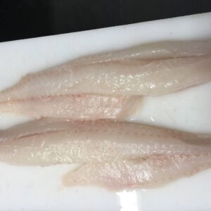 Rock Fish