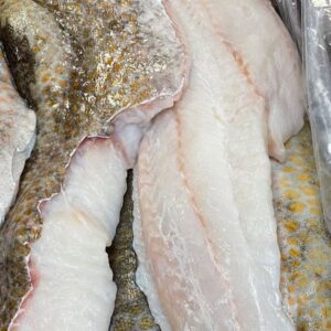 Ling Cod